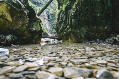 Slovakya'nın doğu bölümünde yer alan Slovensky Milli Parkı raj içinde güzel Turizm iz bir Avrupa'nın en büyük buz mağaraları ve karstik platoları, boğaz, şelaleler ve mağaralar çekici bir manzara içerir
