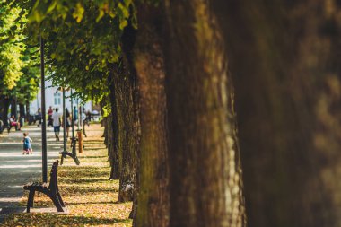Bojnice, Slovakya - 15 Eylül 2016: Bojnice şehir merkezi, ağaç alea.