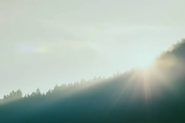 Alberi Illuminati Raggi Sole Attraverso Nebbia Basso Tatra Montagne Slovacchia — Foto Stock