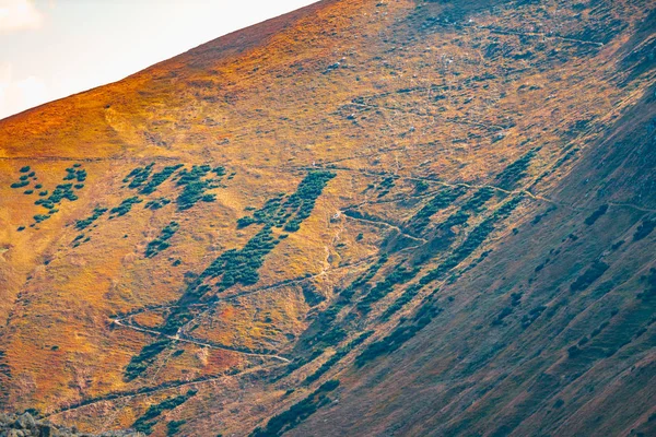 Colori Autunnali Dei Monti Bassi Tatra Slovacchia — Foto Stock