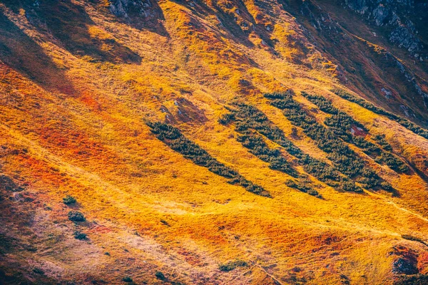 Autumn Colors Low Tatra Mountains Slovakia — Stock Photo, Image