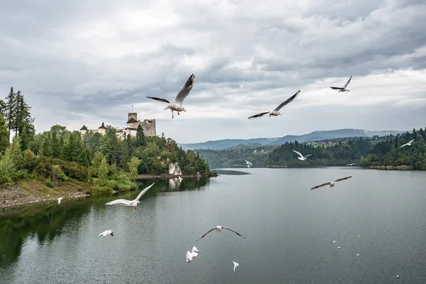 Gaviotas Voladoras Cerca Del Castillo Medieval Niedzica También Conocido Como — Foto de Stock