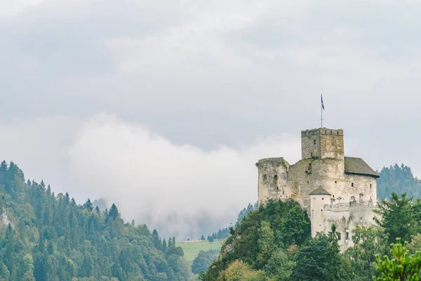 Castillo Medieval Niedzica También Conocido Como Castillo Dunajec Polonia — Foto de Stock