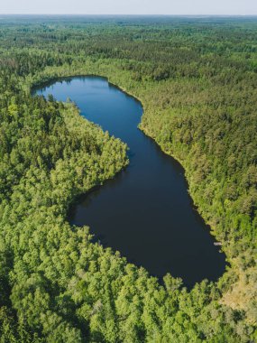 Kaisiadoriai County, Litvanya küçük gölde havadan görünümü