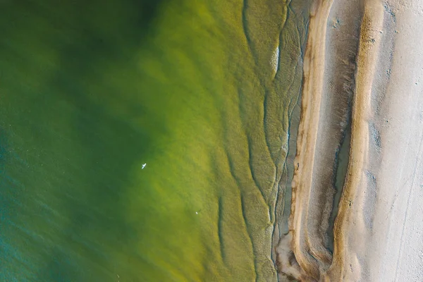 Olhando Para Praia Vista Aérea Drones Costa Mar Báltico Palanga — Fotografia de Stock