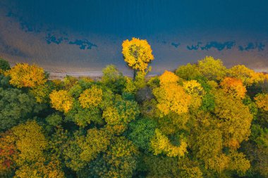 Park renkli ağaçlar hava görünümünü. Kaunas, Litvanya sonbahar sezon