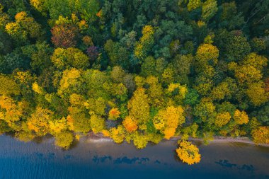 Park renkli ağaçlar hava görünümünü. Kaunas, Litvanya sonbahar sezon