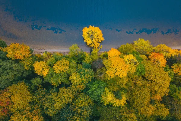 Park renkli ağaçlar hava görünümünü. Kaunas, Litvanya sonbahar sezon