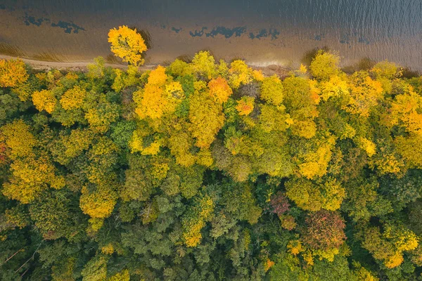 Park renkli ağaçlar hava görünümünü. Kaunas, Litvanya sonbahar sezon