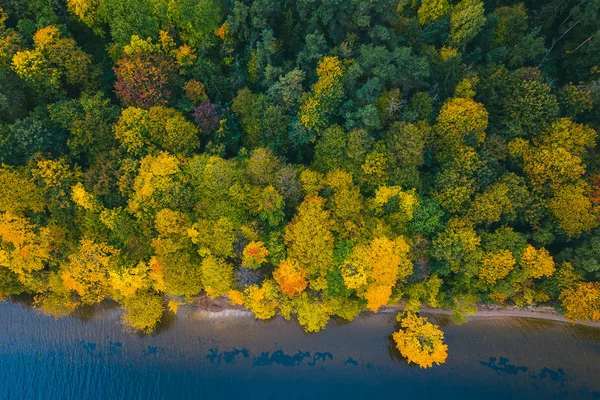 Park renkli ağaçlar hava görünümünü. Kaunas, Litvanya sonbahar sezon