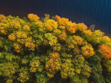 Park renkli ağaçlar hava görünümünü. Kaunas, Litvanya sonbahar sezon