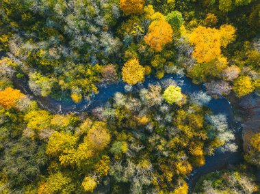 Drone Neris Bölge Parkı hava görünümünü. Park yaklaşık 10,000 hektar Litvanya kapsar.