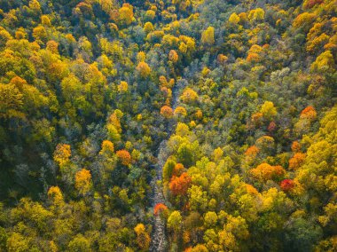 Drone Neris Bölge Parkı hava görünümünü. Park yaklaşık 10,000 hektar Litvanya kapsar.