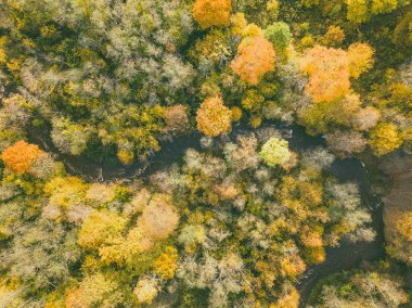 Drone Neris Bölge Parkı hava görünümünü. Park yaklaşık 10,000 hektar Litvanya kapsar.