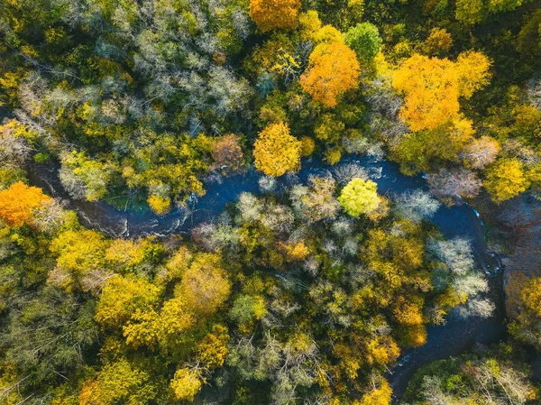 Drone Neris Bölge Parkı hava görünümünü. Park yaklaşık 10,000 hektar Litvanya kapsar.