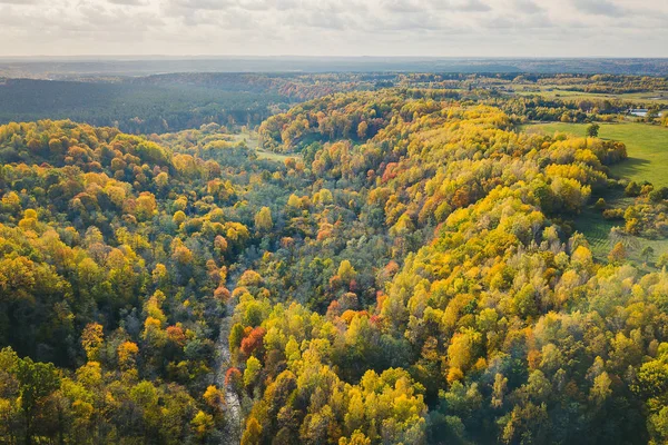 Drone Neris Bölge Parkı hava görünümünü. Park yaklaşık 10,000 hektar Litvanya kapsar.
