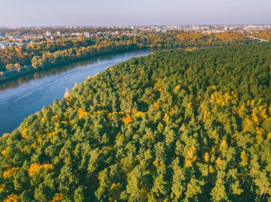 Hava dron görünümünü çarpıcı renkli sonbahar orman Litvanya