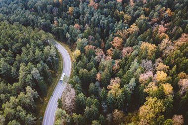 Ormanın içinden sürüş dolambaçlı yolda otobüs hava görünümünü. Kaunas İlçesi, Litvanya