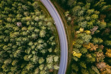 Yemyeşil yeşil ormanlar County'de Kaunas, Litvanya üzerinden dolambaçlı yol havadan görünümü