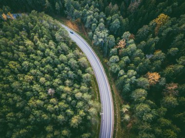 Ormanın içinden ülke yolda araba araba hava görünümünü. Kaunas İlçesi, Litvanya