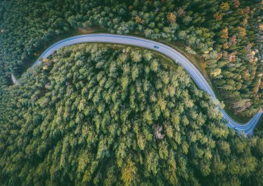 Ormanın içinden ülke yolda araba araba hava görünümünü. Kaunas İlçesi, Litvanya