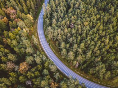 Yemyeşil yeşil ormanlar County'de Kaunas, Litvanya üzerinden dolambaçlı yol havadan görünümü