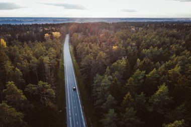 Ormanın içinden sürüş ülke yolda araçların havadan görünümü. Kaunas İlçesi, Litvanya