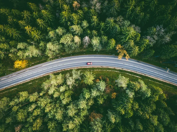 Luftaufnahme Eines Autos Das Auf Einer Landstraße Durch Den Wald — Stockfoto