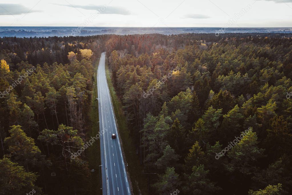 Aerial view of cars driving through the forest on country road. Kaunas county, Lithuania