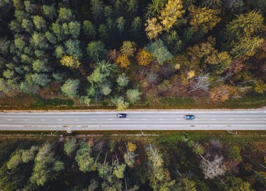 Ormanın içinden ülke yolda araba araba hava görünümünü. Kaunas İlçesi, Litvanya