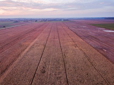 Litvanya tarım alanlarının dron havadan görünümü