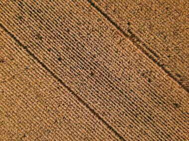 Litvanya tarım alanlarının dron havadan görünümü