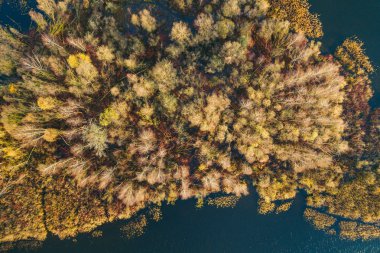 Kaunas, Litvanya göl ve sonbahar orman. Drone havadan görünümü.