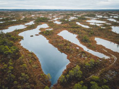 Havadan görünümü büyük bataklığı Letonya'nın robot. Harika Kemeri bataklık Boardwalk ziyaretçi bataklık keşfetmek için bir şans teklif popüler turistik Kemeri Milli Parkı yer