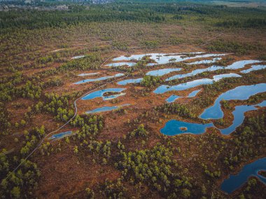 Havadan görünümü büyük bataklığı Letonya'nın robot. Harika Kemeri bataklık Boardwalk ziyaretçi bataklık keşfetmek için bir şans teklif popüler turistik Kemeri Milli Parkı yer