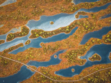 Havadan görünümü büyük bataklığı Letonya'nın robot. Harika Kemeri bataklık Boardwalk ziyaretçi bataklık keşfetmek için bir şans teklif popüler turistik Kemeri Milli Parkı yer