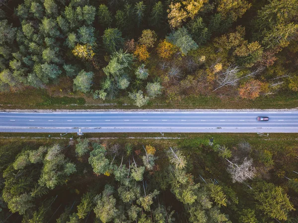 Vista Aérea Carro Que Conduz Através Floresta Estrada País Condado — Fotografia de Stock