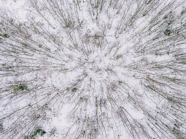 Vista Aérea Drones Del Bosque Nevado Lituania Tema Invierno —  Fotos de Stock