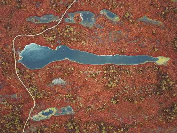 Вид Высоты Беспилотника Огромное Болото Латвии Большая Болотная Тропа Кемери — стоковое фото