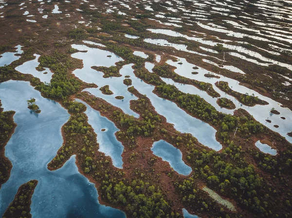 Havadan görünümü büyük bataklığı Letonya'nın robot. Harika Kemeri bataklık Boardwalk ziyaretçi bataklık keşfetmek için bir şans teklif popüler turistik Kemeri Milli Parkı yer