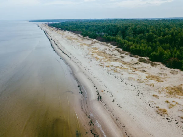 Widok Lotu Ptaka Wybrzeżu Morza Bałtyckiego Łotwa — Zdjęcie stockowe