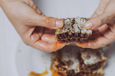 Petek parçası tutuyor. Peteğin balmumu ile mühürlü bal tam hücreleri ile ahşap bir çerçeve içinde