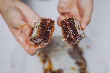 Petek parçası tutuyor. Peteğin balmumu ile mühürlü bal tam hücreleri ile ahşap bir çerçeve içinde