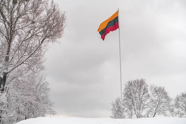 Bandeira Lituana Vento Kaunas Cidade Segundo Plano Vista Aérea Drone — Fotografia de Stock