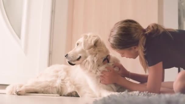 Little girl with puppy — Stock Video