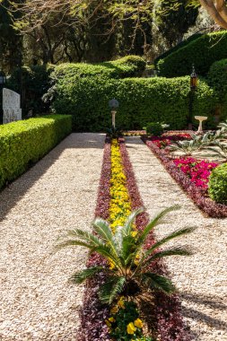 Haifa, İsrail-Mart 25, 2018: Teraslarında bahar zaman Bahai inanç gren Park'ta