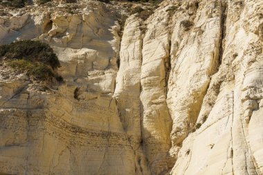 İsrail'in kuzeyinde beyaz kayaların doku