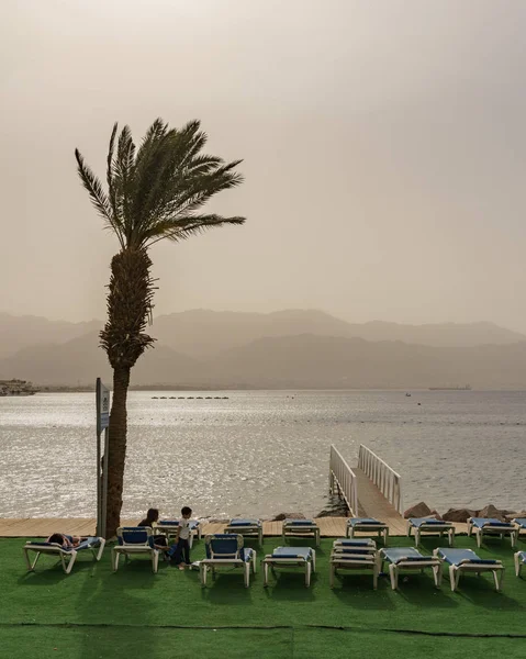 Eilat Izrael Března 2018 Palma Pláži Umělou Trávou Rudém Moři — Stock fotografie
