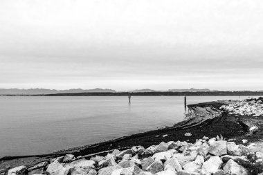 Surrey, İngiltere - 27 Ekim 2018: Blackie tükürük park bölgesinde sınır koyunda.