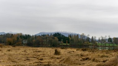 Kasım Burnaby British Columbia Kanada'da yağmurlu sonbahar gününde Geyik göl parkı